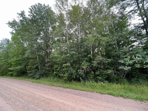 Near lake - Lot 1 Blk 2 corner 181st Ave and Badger Dr, Garrison, MN 56450