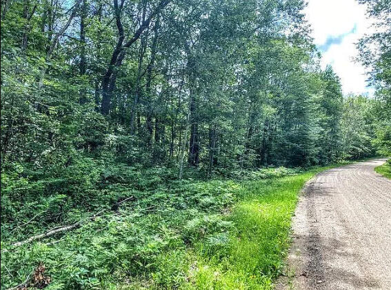 Near lake - Lot 1 Blk 2 corner 181st Ave and Badger Dr, Garrison, MN 56450