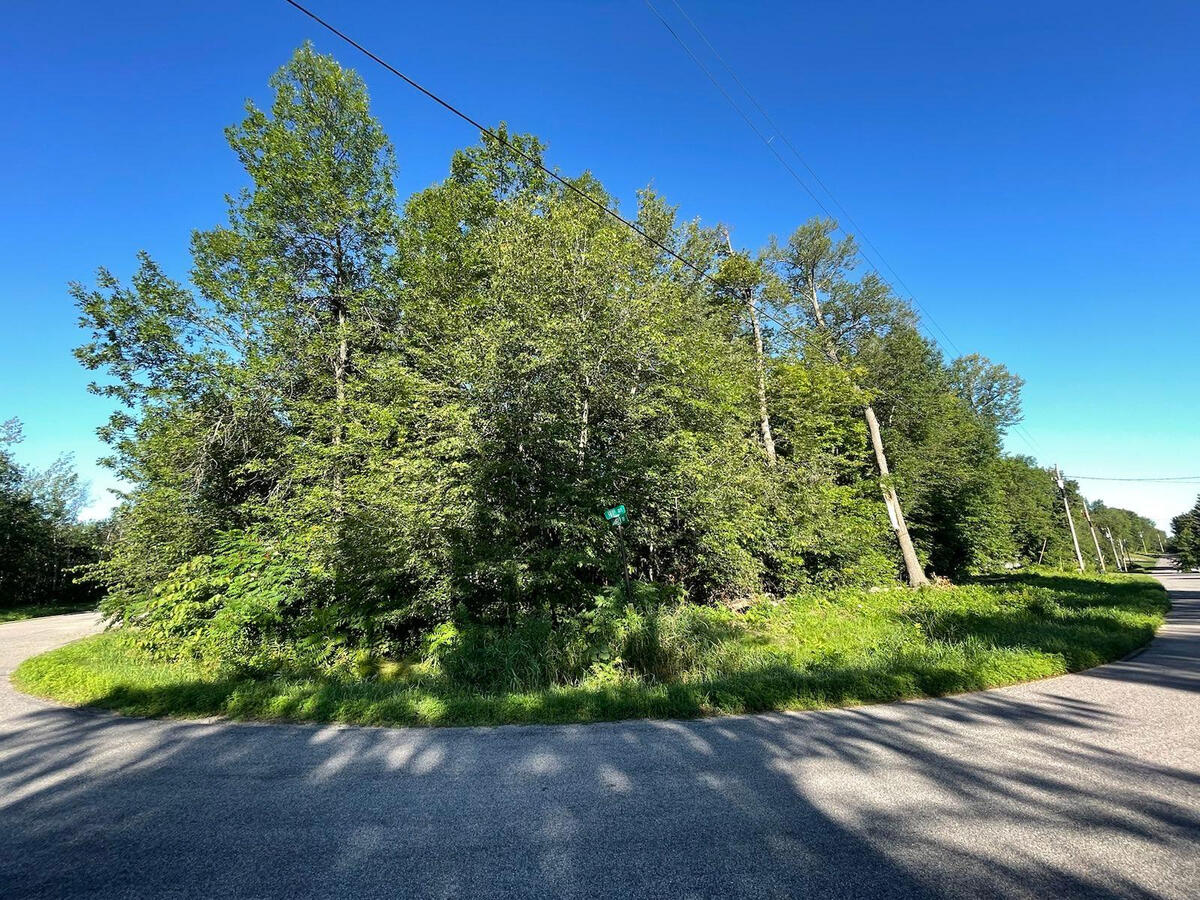 Near lake - Lot 1 Blk 2 corner 181st Ave and Badger Dr, Garrison, MN 56450