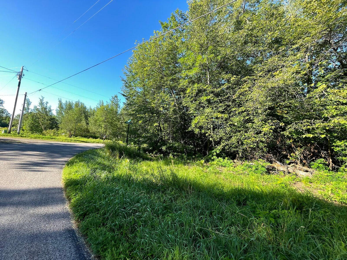 Near lake - Lot 1 Blk 2 corner 181st Ave and Badger Dr, Garrison, MN 56450