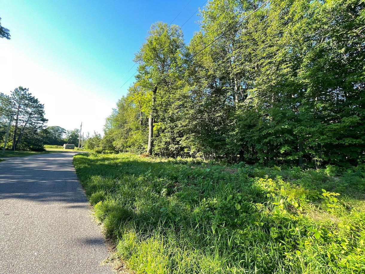 Near lake - Lot 1 Blk 2 corner 181st Ave and Badger Dr, Garrison, MN 56450